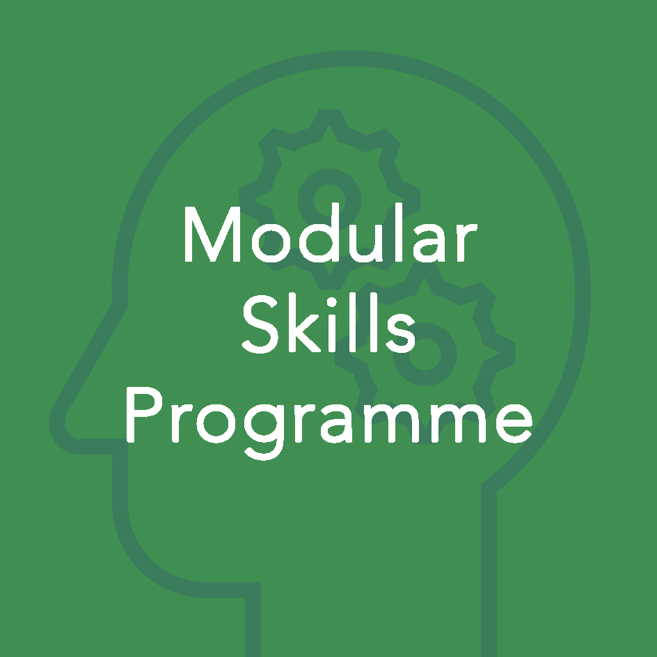 Modular Skills Programme v3